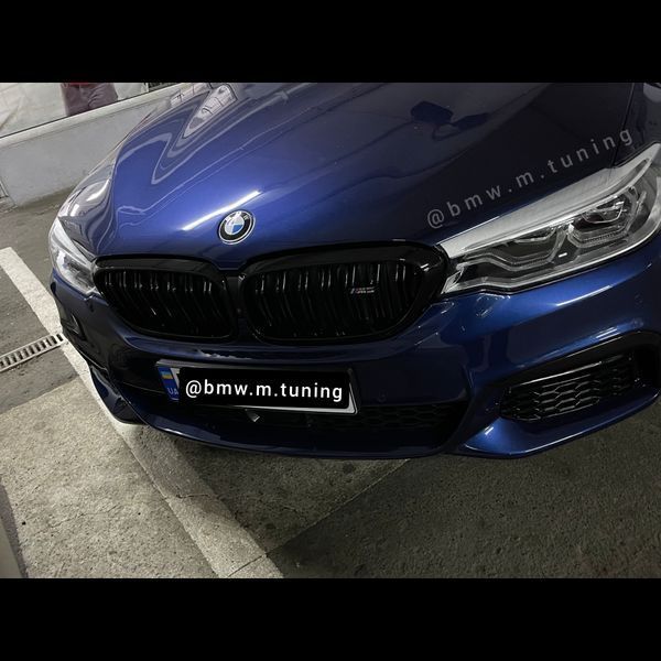 BMW Решітки радіатора G30 grills-g30-doubleslat фото