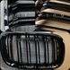 BMW Решітки радіатора E70/E71 X5/X6 grills-e70-doubleslat фото 1
