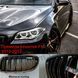 BMW Решетки радиатора F10 grills-f10-doubleslat фото 4
